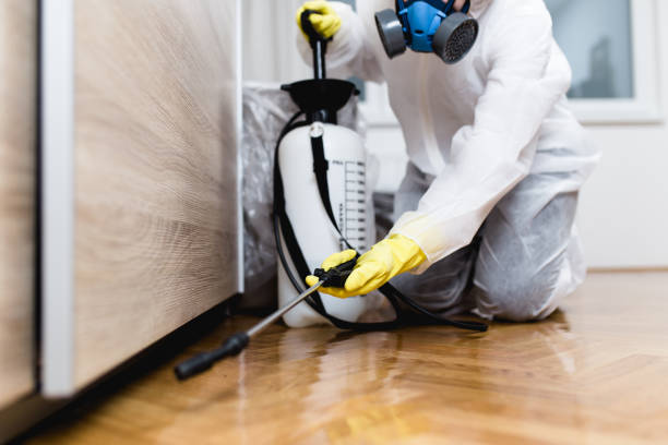 Best Insect Control  in Hillcrest, NY