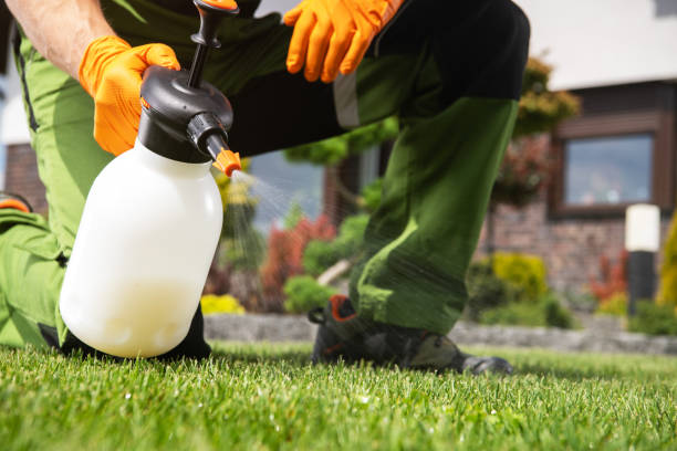 Best Pest Removal Services  in Hillcrest, NY