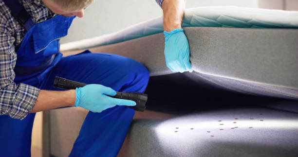 Best Exterminator Services  in Hillcrest, NY